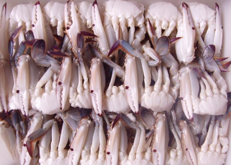 Half Cutted Portunus Crab Korea Thailand Trituberculatus Latin Name