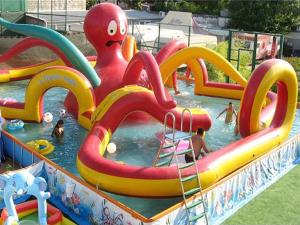 Quality New Design Outdoor Inflatable Jellyfish Water Park for Kids Amusement Park wholesale
