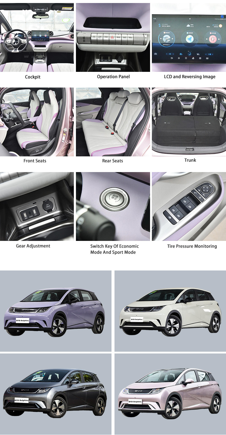 New Automobile Electric EV Cars Manufacturers BYD Dolphin Auto Vehicles
