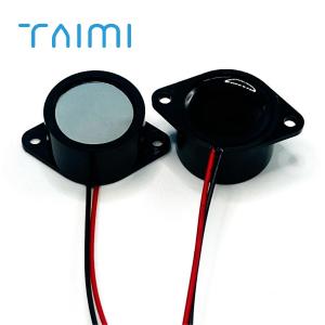 Quality Electric cars motorcycles use 5VDC PIEZO BUZZER 3W electric Vehicle Battery pack alarm buzzer wholesale