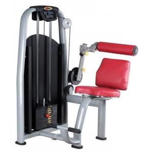 Quality Back Extension machine wholesale