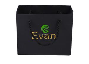 Quality Black Matt Laminated Paper Bags , Twisted Handle Printed Paper Shopping Bags wholesale