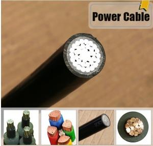 Quality 0.6/1KV XLPE Insulation YJV Power Cable，ECHU Power Cable wholesale