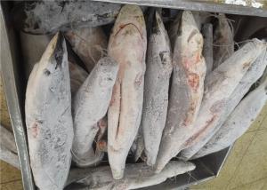Quality Delicious Seafrozen Sailfish 15kg 20kg Frozen Marlin wholesale