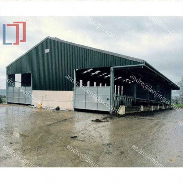 Ventilation Steel Structure Cow Shed , Durable Steel Livestock Shelter For Dairy