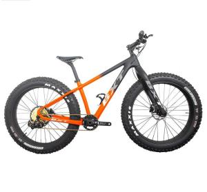 Quality 12Speed Full Carbon Mountain Bikes Fat Tire Snow MTB Bikes 26 Inch wholesale