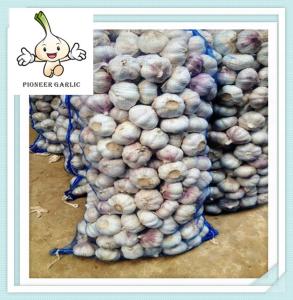 Quality Top quality 5.0cm 500g bag snow white Chinese garlic 2016 new crop wholesale