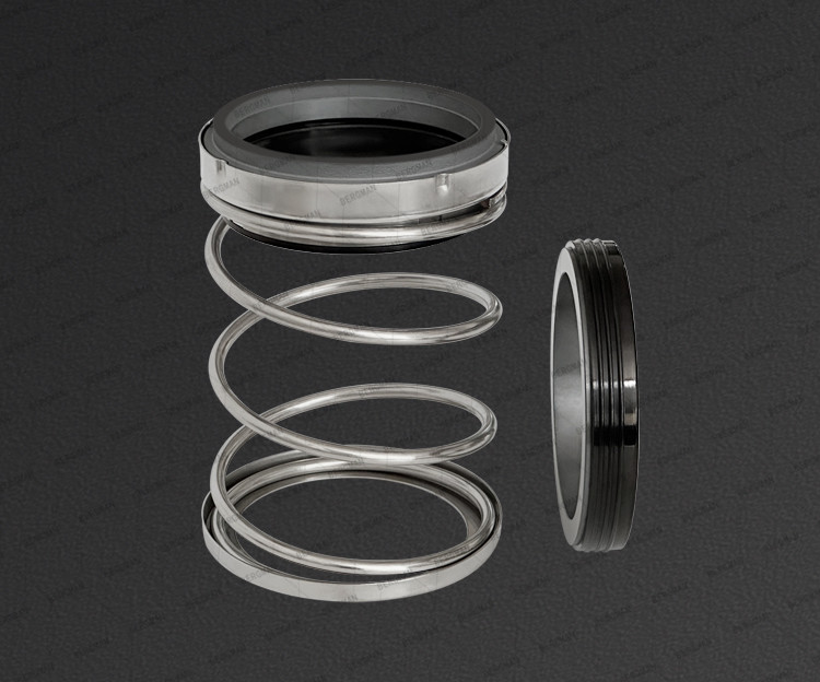 BERGMAN TYPE/T21S Inch Graphite Silicon Carbide Tungsten Carbide Nitrile Viton EPDM Pump Mechanical Seal