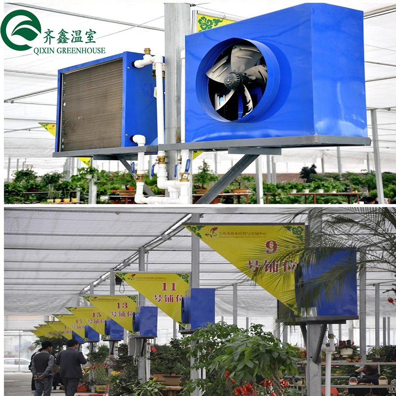 Large Steel Greenhouse Structure Shed Design With 150/200micro PE Film Covering
