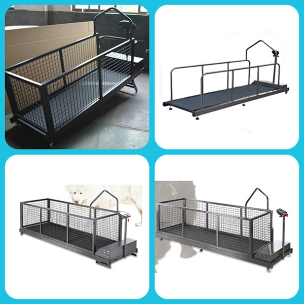 Folding Pet Treadmill Medical Veterinary Equipment , Rehabilitation Training Equipment