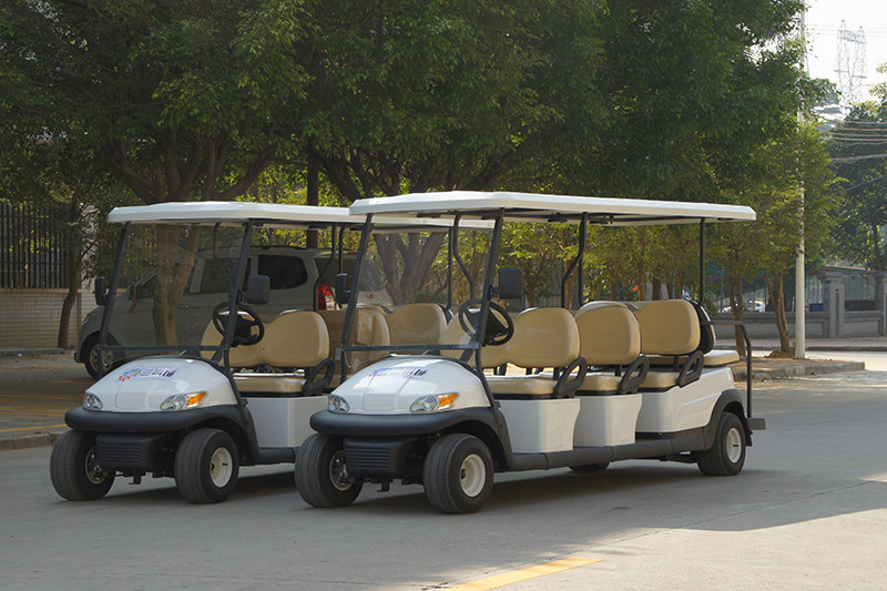 6+2 Eco-Friendly Cruiser Electric Golf Cart with 48V Lithium Battery