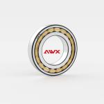 NUP2200 NUP1000 NUP300 High Performance Roller Bearings Cylindrical Oil Grease