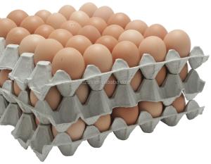 Quality Full Automatic Egg Box Machine , Egg Crate Manufacturing Machine 115kw wholesale