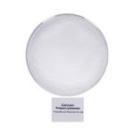 Industrial Strength Polyelectrolyte Flocculant 20 million Molecular Weight