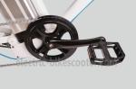 36V 250W Electric Mountain Bicycle , Electric Mountain Bike With Suspension