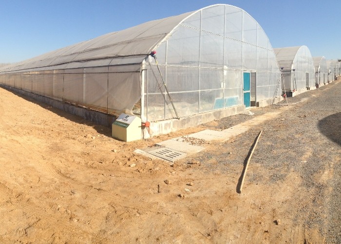 8m Wide Span Tomato Greenhouse Farming Commercial Poly Tunnel With Shading System Spray Irrigation System