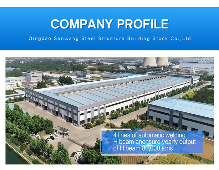 Cheap steel structure fabricated storage warehouse for sale