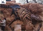 Handmade Museum Dinosaur Skeleton Replica For Outdoor Decoration Warranty 1 Year
