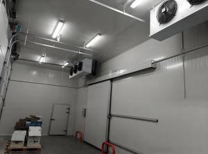 Quality Commercial Freezer Cold Room Stainless Steel / Color Steel Freezer Storage Room wholesale