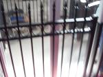 Customized Black Zinc Steel Metal Garrison Fence Panels Maintenance Free