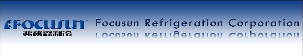 FOCUSUN 20 tons Flake Ice Making Machine for Large Ice Storage Capacity of 15000kg
