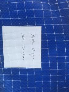 Quality HDPE Anti UV Fruit Protection Netting Anti Pigeon Net 10gsm For Agriculture wholesale