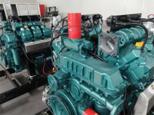 Quality 260KW Deutz V6 Engine Biogas Generators CHP Combined Heat Power Generator wholesale