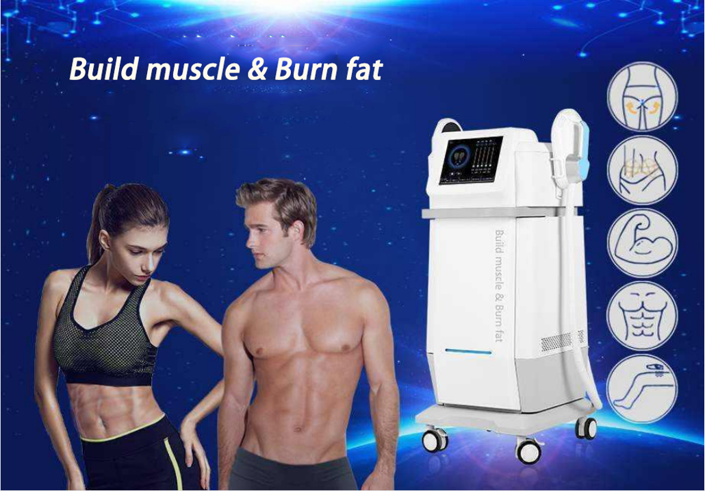 Non Invasive Body Sculpting Machine , Magnetic Muscle Stimulation Machine