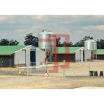 Custom Modern Steel Frame House , High Strength Metal Chicken House