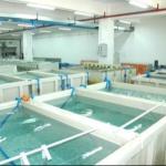 OEM ODM Electrophoresis Coating Solution Industrial Coating