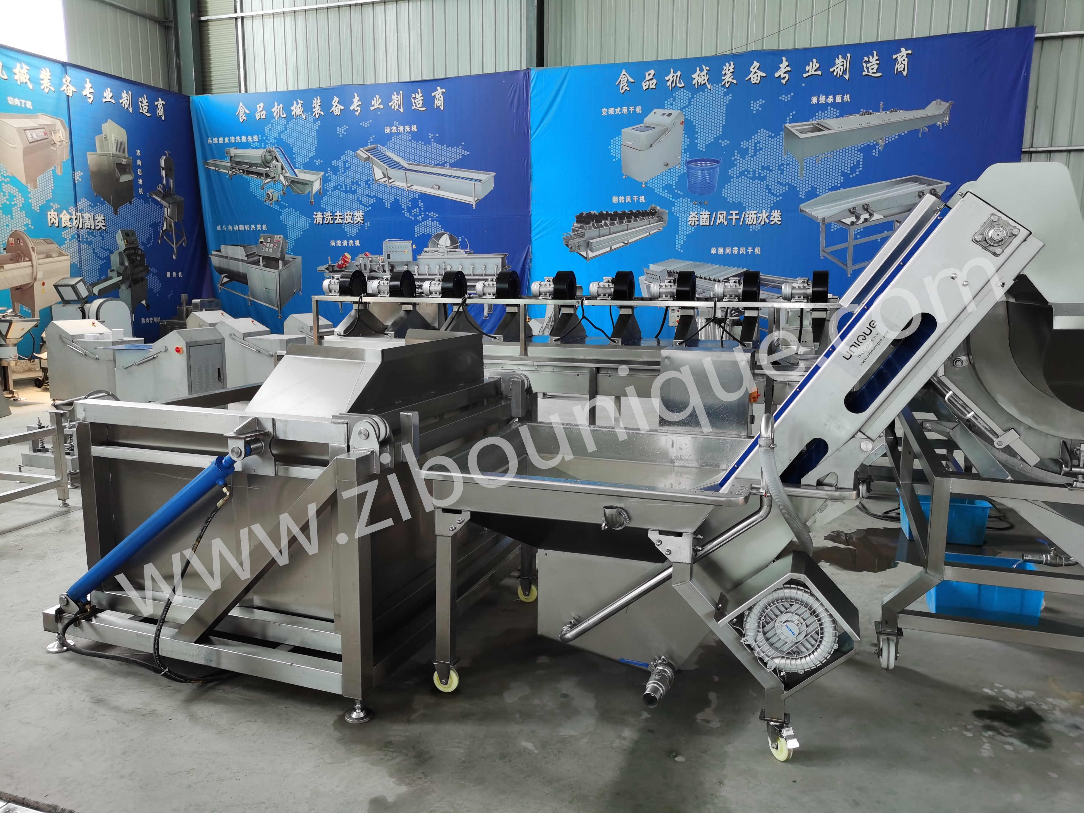 240 KG Automatic CE Certificate Vegetable Carrot Sweet Potato Soaking Elevator for Fruit and Vegetables