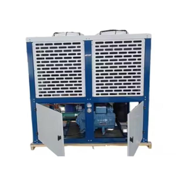Commercial Air Cooled Freezer Unit Bitzer Refrigerator Automatic Core Motor Pump