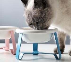 Quality Round Anti Slip 15.5*7cm Pet Food Feeder wholesale