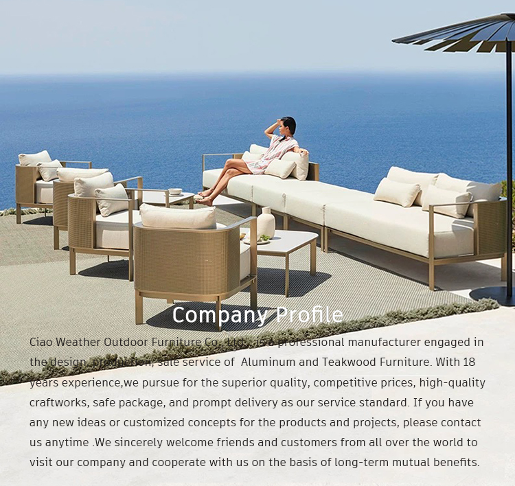 Stainless Steel Sectional Sofa and Chair Set for Modern Garden Furniture in Villa Hotel