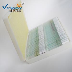 Quality Professional Mixed Amscope Microscope Slides 100pcs Oem Service wholesale