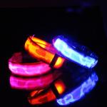 Light Up LED Dog Collar , Luminous Flashing Dog Collars For Small Dogs