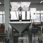 SS304 2 Head Linear Weigher
