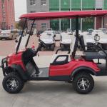 OEM Electric Golf Cart 50km Range Electric LSV Aetric Golf Cart With Lead Acid