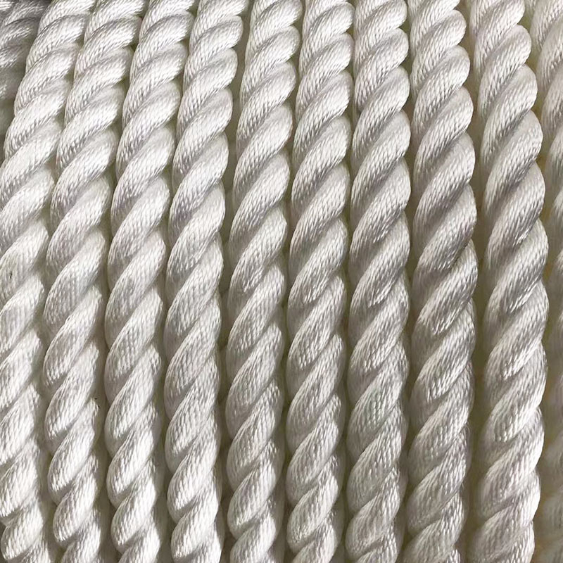 3mm 6mm 3 Strand Twisted Nylon Rope for Manufacturing Customized Colour and Durable