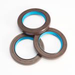 FKM Oil Seals for Machinery Lubrication