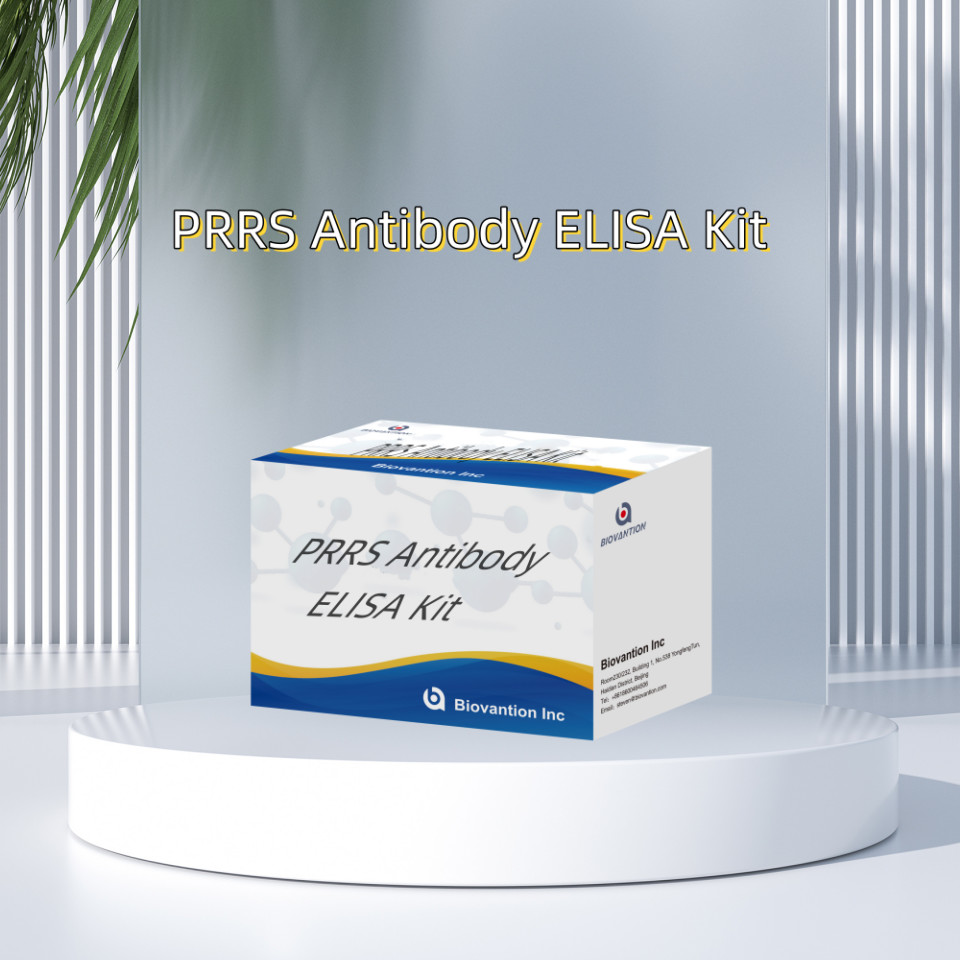 ELISA test for animal PRRSV Porcine PRRS antibodies antibody veterinary Reagents ivd