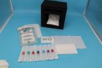 Plastic 95kPa Refrigerant Gel Ice Pack Tourniquet For Blood Collection