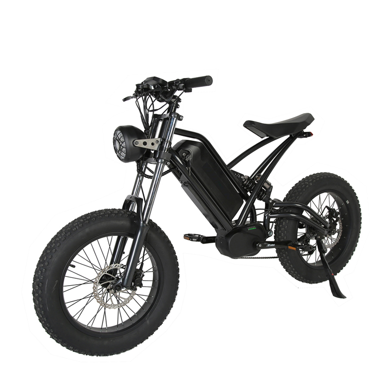 Style 48v1000w High Power Electric Mountain Bike for Adults Alloy Frame Fat Tire Ebike