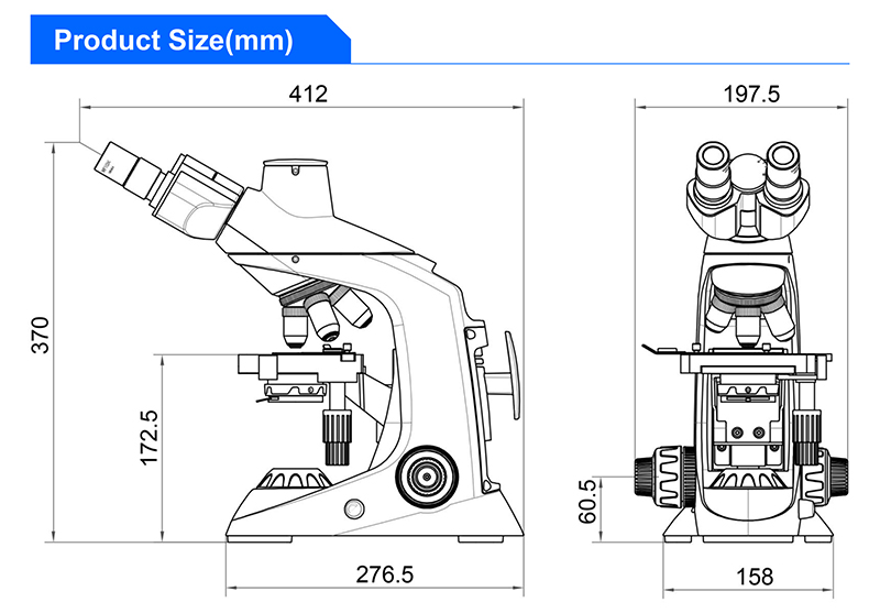 Student 1000X Compound Optical Microscope Laboratory Capillary Microscope