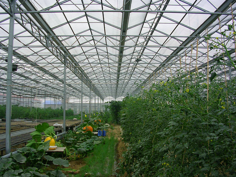No Welded PC Sheet Greenhouse Galvanized Steel Skeleton Various Sheet Colors Available