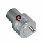 1250rpm 12V High Torque Brushed Motor Micro Liftting Motor Garden Tools