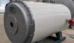 Thermal Oil Hot Water Furnace High Precision Control Compact Structure