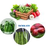 Multi Specification Plastic Transparent Vegetable Packaging Bags Customized