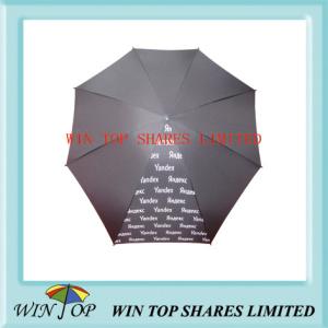 Quality Abnormal and Unusual Anti Air Umbrella (WTL076B) wholesale