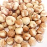 Wasabi Flavor Roasted Chickpeas Snack Rich Protein / Nutririon